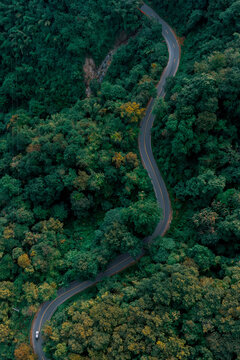 Aerial Forest Road and Sustainable Infrastructure in Tropical Green Landscape , Environmental Conservation and Green Finance Background from Above
