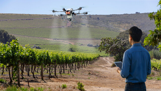 Farmers use laptops to control drones for spraying fertilizer in their vineyards.
