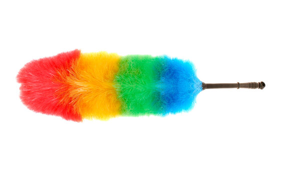 Colorful feather duster on white background isolated on transparent background