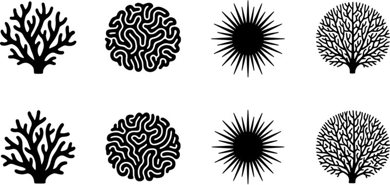 Set of marine coral and sea life silhouettes in square frames. Underwater reef organisms, brain coral and fan coral black icons for graphic design.