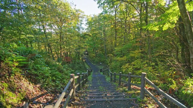 紅葉の名所 秋の鳴子峡の風景　Autumn scenery of Naruko Gorge, a famous spot for autumn foliage.