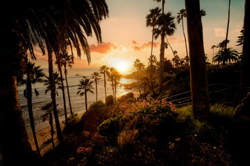 Laguna Beach in Heisler Park,  California © CK