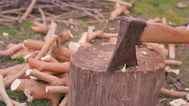 Chopping tree branches with axe close-up in slow motion