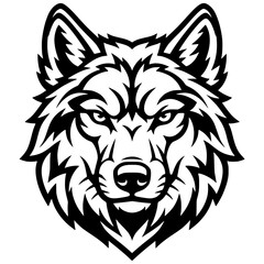 Fototapeta premium wolf portrait