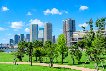 Obraz premium 東京・豊洲公園とタワーマンションが広がる湾岸風景