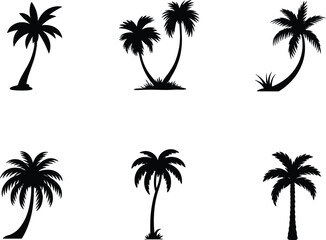 Fototapeta premium Set of Diverse Black Palm Tree Silhouettes for Tropical Beach Travel and Summer Vacation Graphic Design Vector Elements