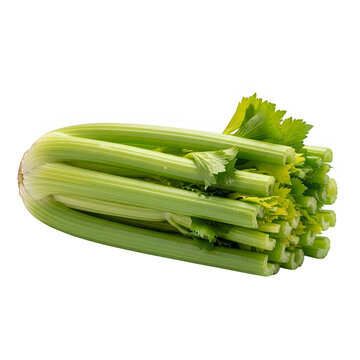 Fresh bunch of green celery stalks isolated on transparent background