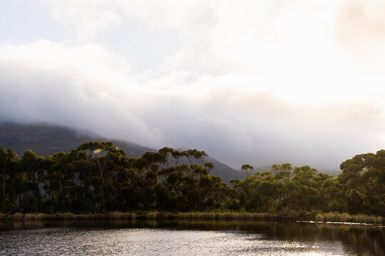 pond , grass , trees and Klein Mountains, Stanford, South Africa as the morning fog burns off