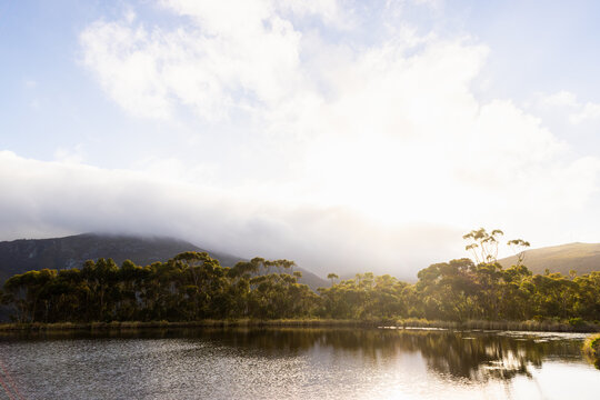 pond , grass , trees and Klein Mountains, Stanford, South Africa as the morning fog burns off