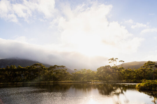 pond , grass , trees and Klein Mountains, Stanford, South Africa as the morning fog burns off