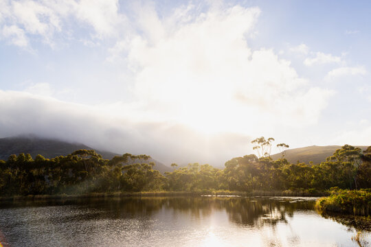 pond , grass , trees and Klein Mountains, Stanford, South Africa as the morning fog burns off