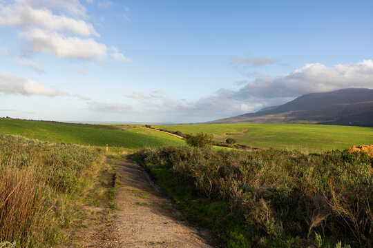 morning light on fields as clouds cast shadow,Stanf South Africa