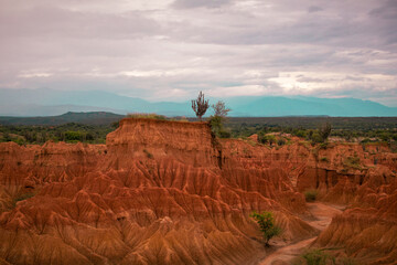 Tatacoa desert in Colombia © Camilo Peláez
