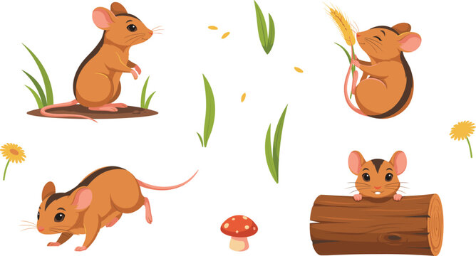 Cute Field Mouse Character Set in Various Poses with Nature Elements Like Wheat Logs Grass and Mushroom for Childish Vector Illustration