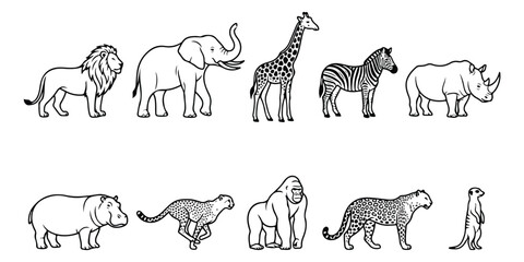African safari animal line art collection, set of 10 wild animal vector icons, minimalist black and white zoo animal illustrations for coloring books © Muhammad