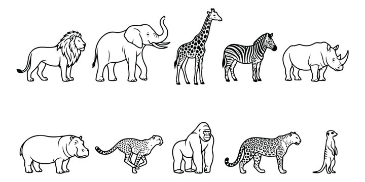 African safari animal line art collection, set of 10 wild animal vector icons, minimalist black and white zoo animal illustrations for coloring books