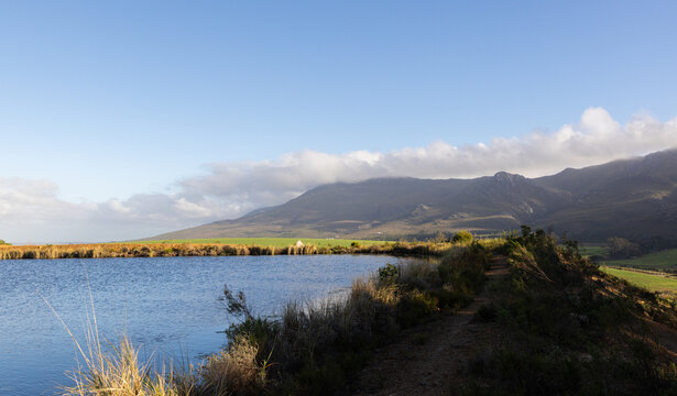 pond , grass , trees and Klein Mountains, Stanford, South Africa as the morning fog burns off