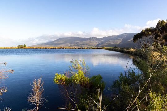 pond , grass , trees and Klein Mountains, Stanford, South Africa as the morning fog burns off