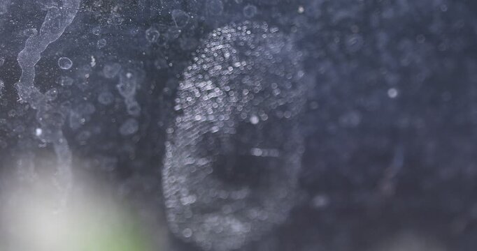 Fingerprint evidence collected at a crime scene during a forensic investigation
