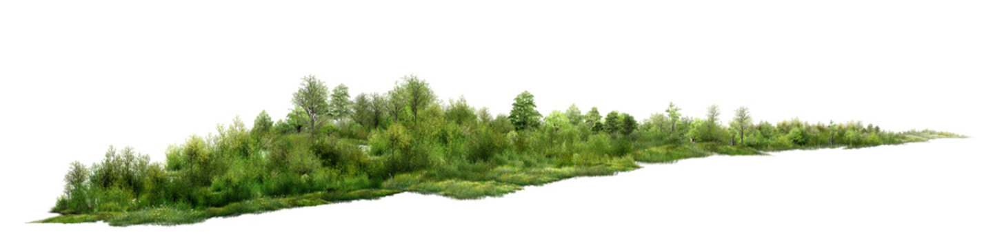 grass isolated on white background/Ultra-sharp panoramic forest landscape isolated on a transparent background, featuring lush green trees, shrubs, and natural vegetation.