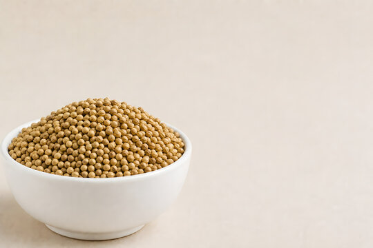 Coriander seeds in a white bowl on a neutral background, whole dhania spice stock photo
