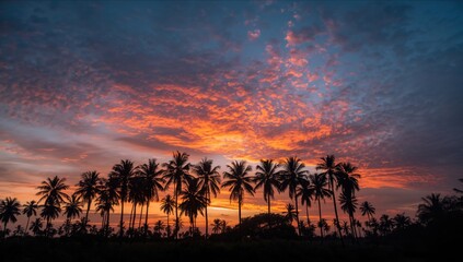 Obraz premium Silhouette of palm trees against a colorful sunset sky