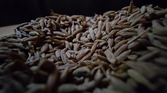 Close-up macro shot of organic raw cumin seeds scattered on a wooden surface, highlighting the textured details of the spice, perfect for culinary and healthy eating content.