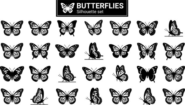 Butterfly Insect Silhouette Set Black White Nature Bundle Vector Illustration Isolated White Background