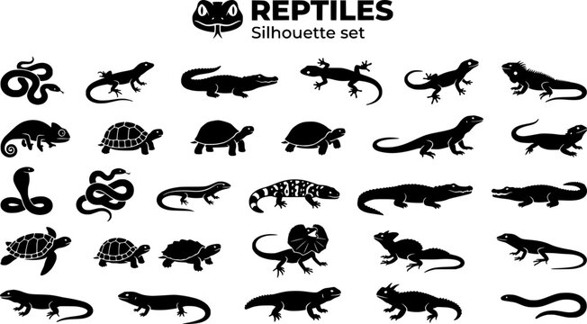 Reptile Snake Lizard Silhouette Set Black White Nature Bundle Vector Illustration Isolated White Background