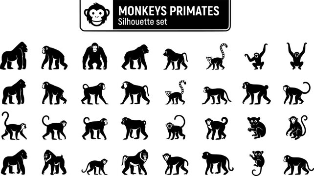 Monkey Primate Silhouette Set Black White Wildlife Bundle Vector Illustration Isolated White Background