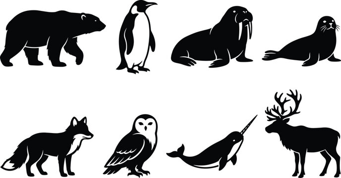 Arctic and Antarctic Polar Wildlife Silhouette Vector Icon Set Featuring Polar Bear Penguin Walrus and Reindeer
