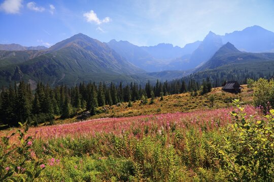 Tatra mountains in Poland. Hala Gasienicowa mountain valley view in September with Zolta Turnia mountain, Orla Perc ridge and Koscielec mountain.