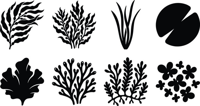 Marine Seaweed and Aquarium Aquatic Plant Silhouette Vector Icon Set Featuring Kelp Coral and Algae Leaves
