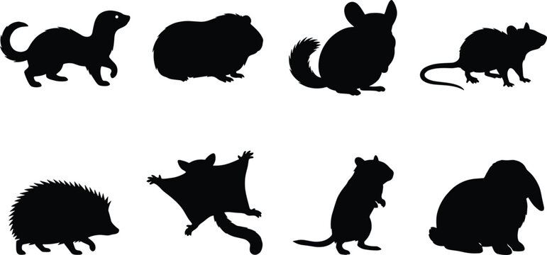 Small Pet Animals and Exotic Rodents Silhouette Vector Icon Set Featuring Rabbit Ferret Hedgehog and Chinchilla