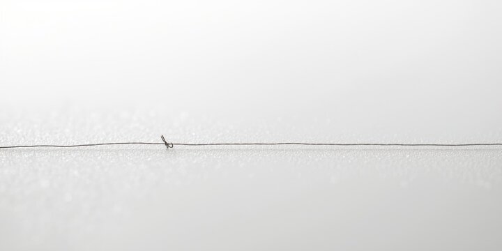 Single strand fishing line positioned on a pristine white backdrop