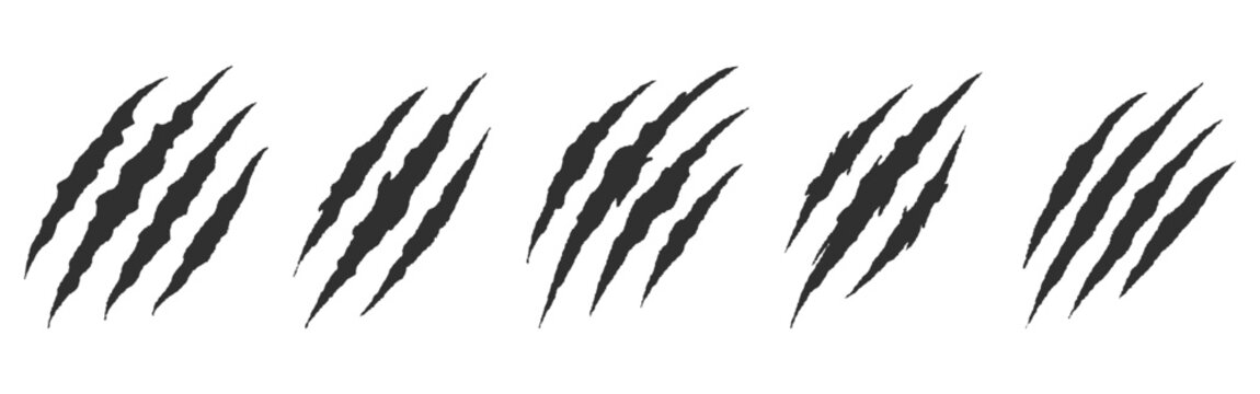 Claw scratch marks set with monster rips and animal slash tracks.