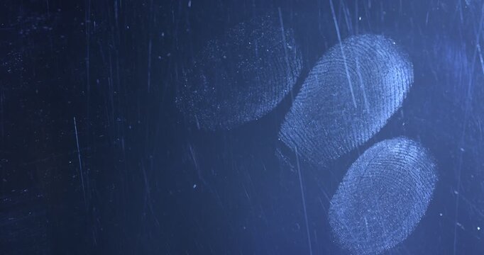 Fingerprint evidence collected at a crime scene during a forensic investigation