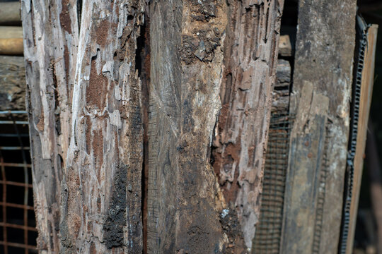 Rotted And Weathered Wood Planks With Deep Grooves