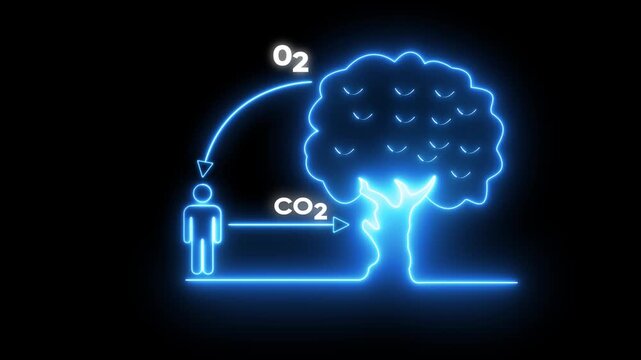 Neon oxygen and carbon dioxide cycle infographic animation