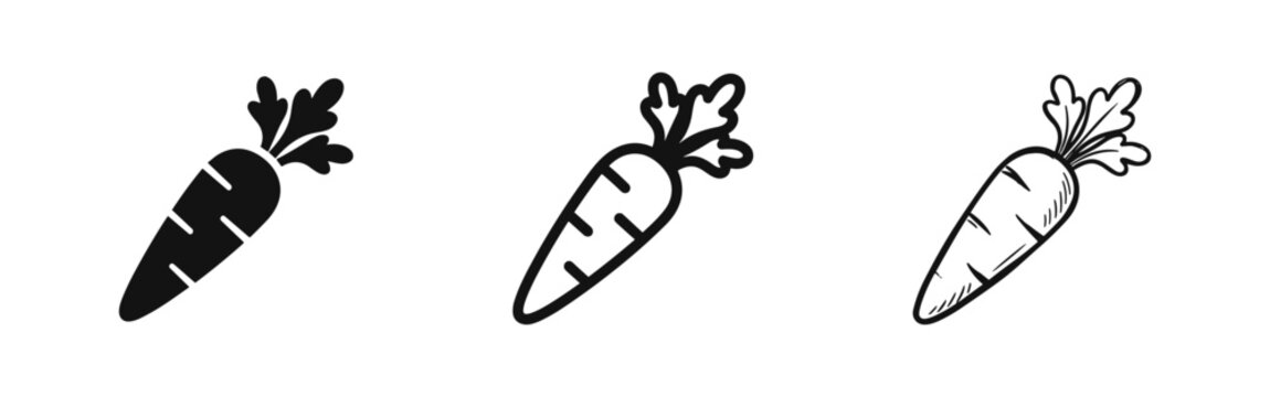 Carrot icons set, fresh vegetable organic food signs