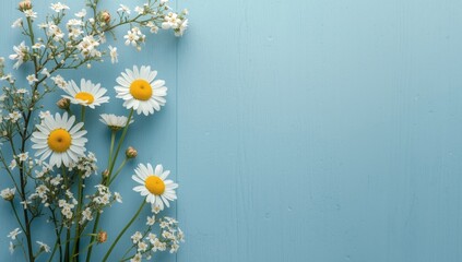 Obraz premium White daisies and small flowers on blue background