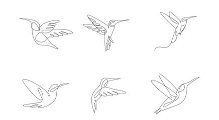Obraz premium Minimalist Continuous Line Art Hummingbirds Collection. Elegant flying bird illustrations in one line style.