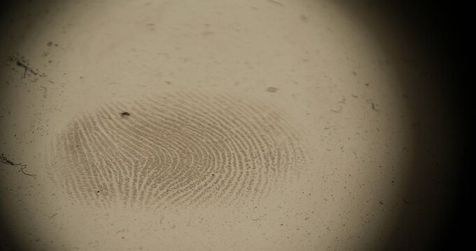 Fingerprint evidence collected at a crime scene during a forensic investigation
