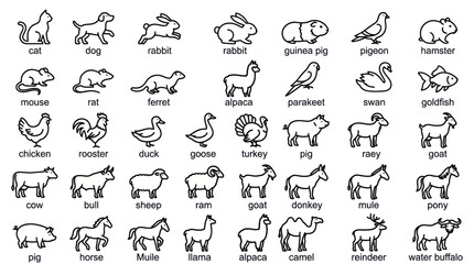 Fototapeta premium Domestic and farm animal thin line icon set.
