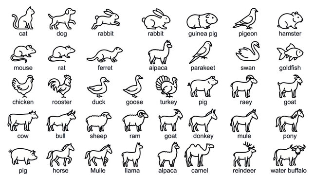 Domestic and farm animal thin line icon set.