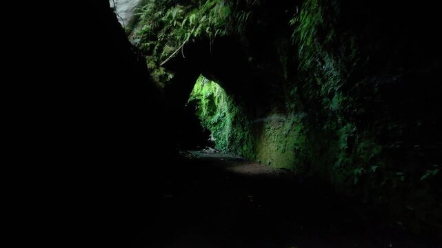 Slow motion move through Ubud Bali jungle caves. Location: Ubud, Bali. Camera tracks forwards / dolly in slow motion through the caves. Vegetation, and light seep through the dark. Cinematic. 