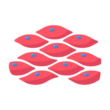 Conceptual illustration of healthy biological cells with distinct nuclei in organized tissue structure