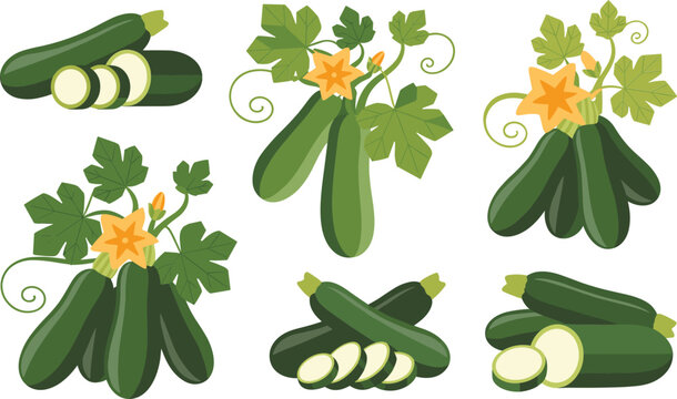 Fresh zucchini set with green summer vegetables blossoms leaves and organic sliced squash