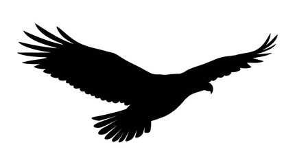 Fototapeta premium Black eagle silhouette, flying bird icon, wildlife symbol, vector graphic