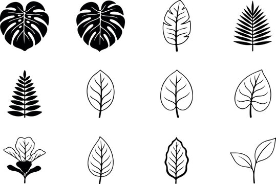 Premium monstera and botanical leaf outline SVG bundle. Ideal for Cricut projects, laser cutting, logo design, stickers, wall art, and tropical-themed crafts.